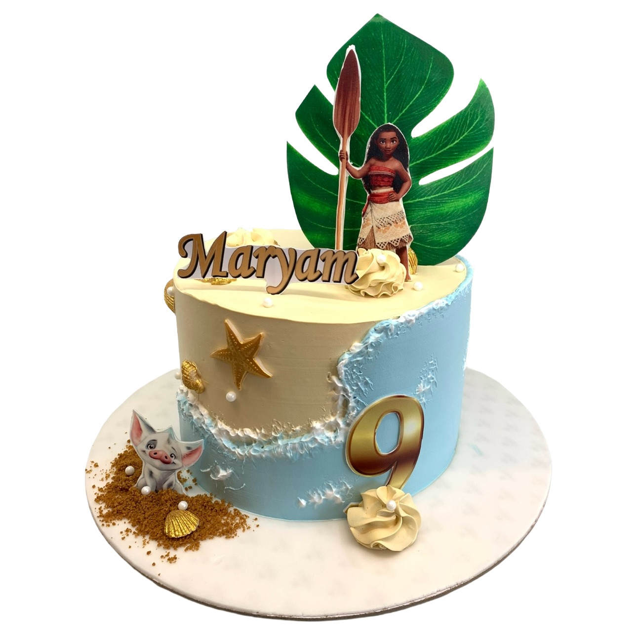 Moana Ocean Adventure Birthday Cake