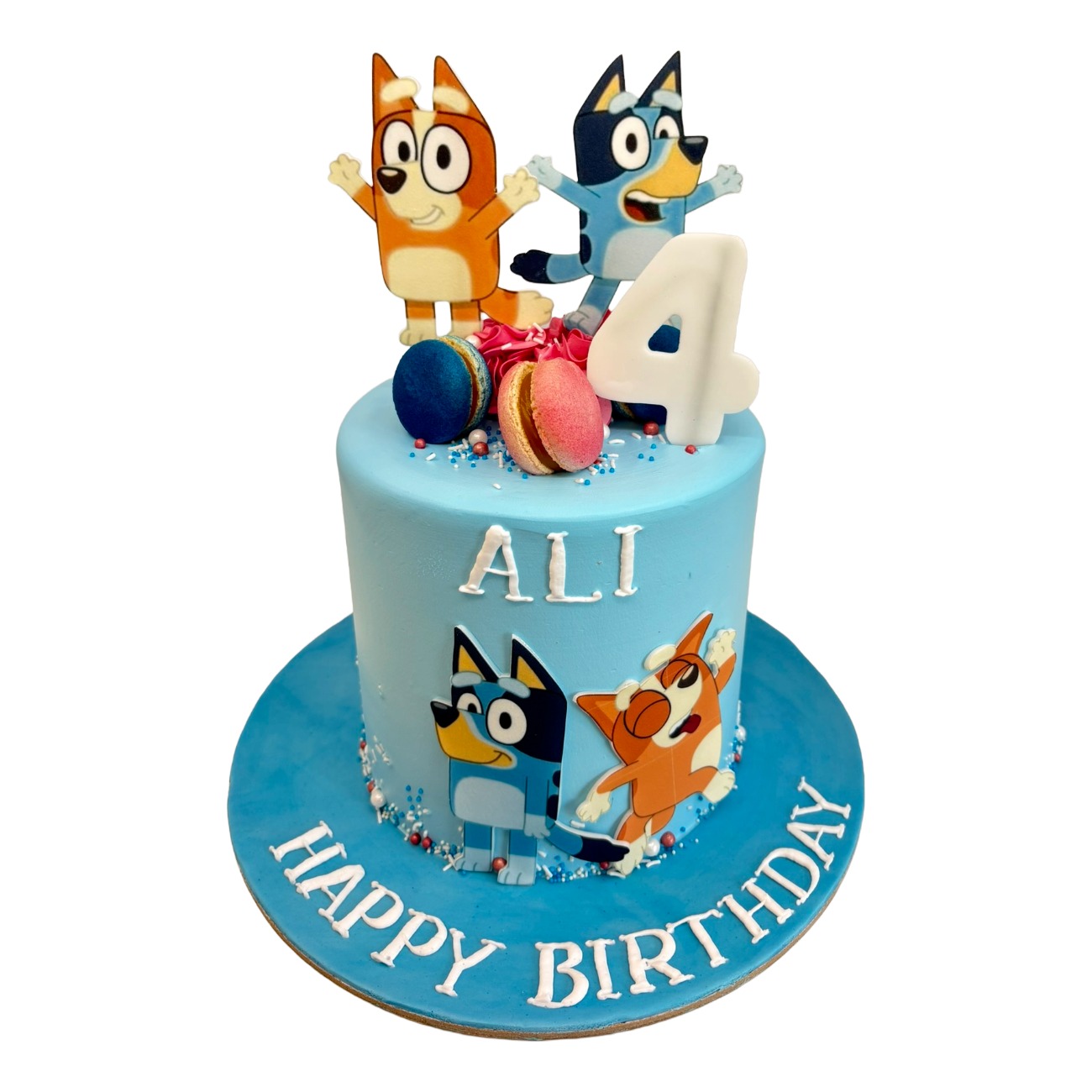 Bluey and Bingo Themed Custom Birthday Cake