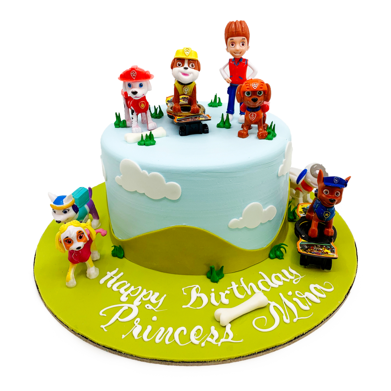 PAW Patrol Pups & Ryder Birthday Adventure Cake