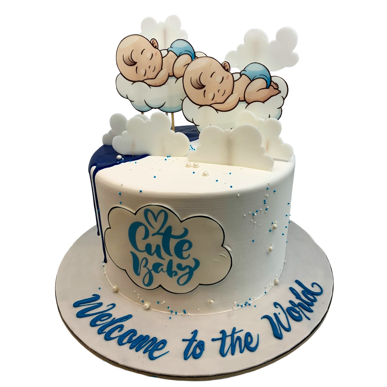 Sleeping Twins Welcome to the World Cake