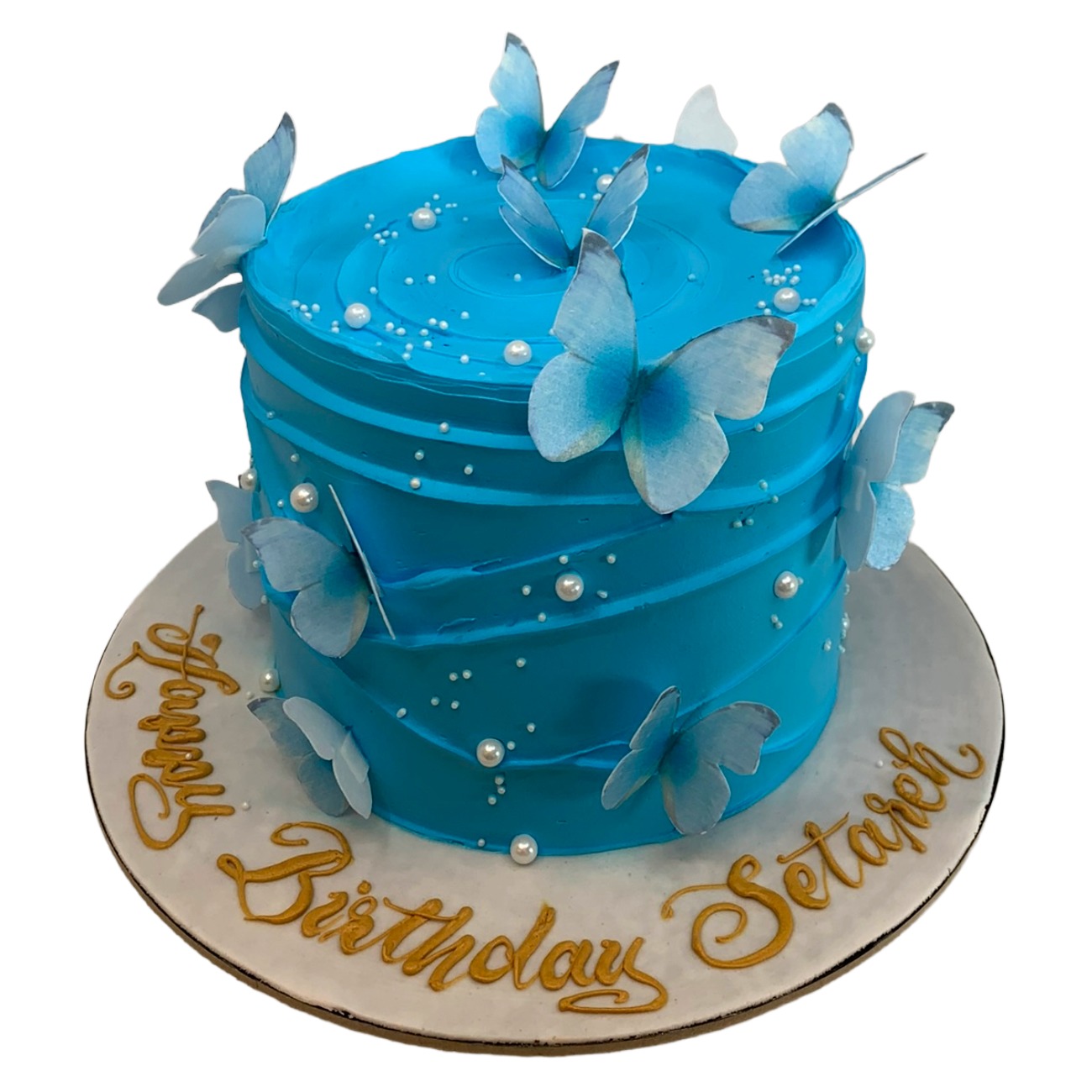 Fresh light Blue Butterfly Dream